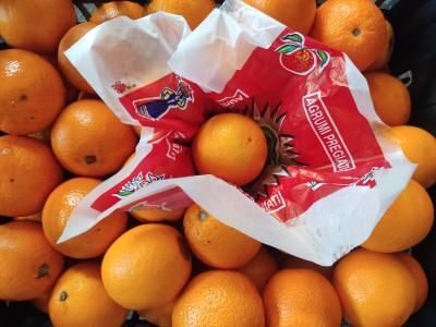 Foto Arance Varietà Valencia Lavoranzione In Plastica  Calibro 56 Origine Egitto Marchio Agriroma    2