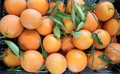 Foto Arance Affogliate Origine Spagna Marchio Medena Import Export  2