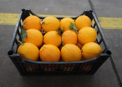 Foto Arance Affogliate Varietà Lane Late Calibro 2 Origine Italia Marchio HILIAS SOC COOPERATIVA 1