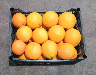 Foto Arance Defogliate Varietà Navel Calibro 4 Origine Italia Marchio Hilias  3