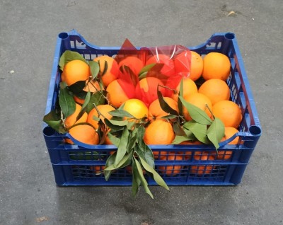 Foto Arance Navel Affogliate Calibro 8 Origine Italia Marchio Acri            1