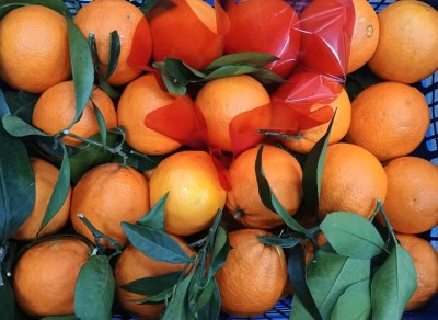 Foto Arance Navel Affogliate Calibro 8 Origine Italia Marchio Acri            2