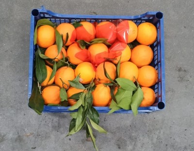 Foto Arance Navel Affogliate Calibro 8 Origine Italia Marchio Acri            3