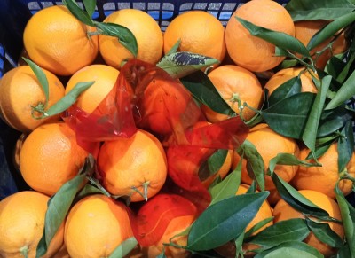 Foto Arance Navel Calibro 8 Origine Italia Marchio Acri e Sas                 2