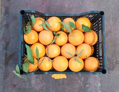 Foto Arance Affogliate Varietà Lane Late Calibro 4/6 Origine Italia Marchio Hilias 3