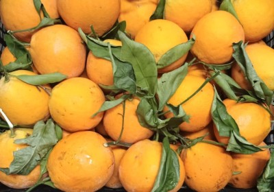 Foto Arance Affogliate Varietà Navel cal 8/10 Origine Italia Marchio Acri  2