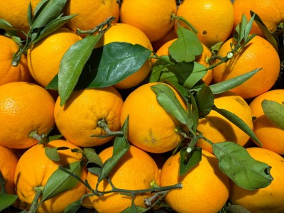 Foto Arance Lane Late Calibro 8/10 Origine Italia Marchio Hilias 2