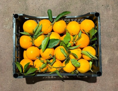 Foto Arance Lane Late Calibro 8/10 Origine Italia Marchio Hilias 3