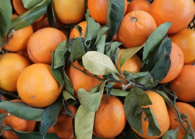 Foto Arance Varietà Navelina Calibro 8/10 Origine Italia Marchio Hilias  2