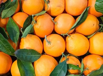 Foto Arance Varietà Washington Calibro 8/10 Origine Italia Marchio Hilias  2