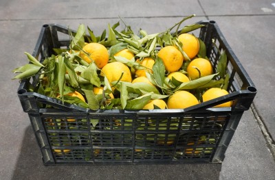 Foto Arance Affogliate Origine Grecia Marchio Agri 21 1