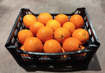 Foto Arance Navel Calibro 2 Origine Italia Marchio Hilias               1