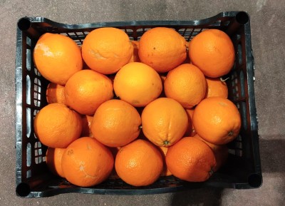 Foto Arance Navel Calibro 2 Origine Italia Marchio Hilias               2