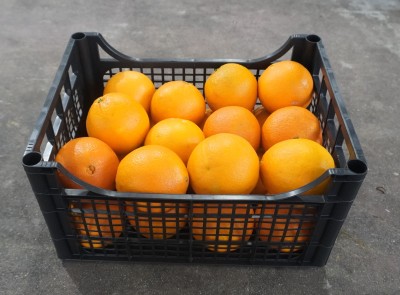 Foto Arance Varietà Navelina Calibro 2 Origine Italia Marchio Hilias  1