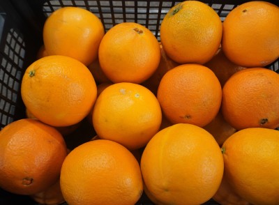 Foto Arance Varietà Navelina Calibro 2 Origine Italia Marchio Hilias  2