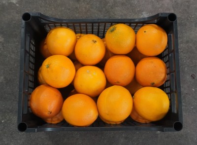 Foto Arance Varietà Navelina Calibro 2 Origine Italia Marchio Hilias  3