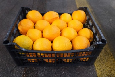 Foto Arance Varietà Navel Calibro 4 Origine Italia Marchio Hilias 1