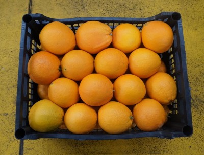 Foto Arance Varietà Navel Calibro 4 Origine Italia Marchio Hilias 3