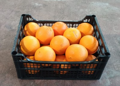 Foto Arance Varietà Lane Late Calibro 4 Origine Italia Marchio Hilias 1