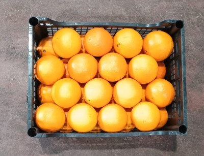 Foto Arance  Defogliate Varietà Navel Calibro 6 Origine Italia Marchio Hilias  3