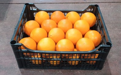 Foto Arance Varietà Lane Late Calibro 6 Origine Italia Marchio Hilias	 1