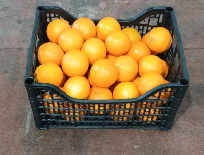 Foto Arance Varietà Lane Late Calibro 8 Origine Italia Marchio Hilias  1