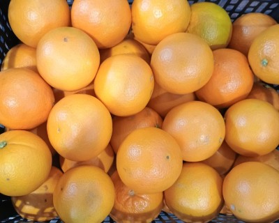 Foto Arance Varietà Lane Late Calibro 8 Origine Italia Marchio Hilias  2