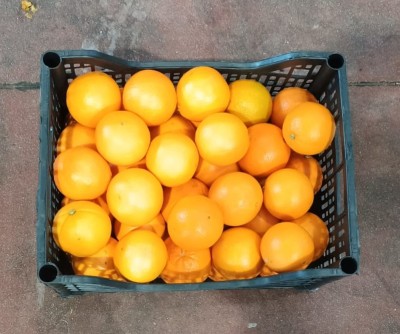 Foto Arance Varietà Lane Late Calibro 8 Origine Italia Marchio Hilias  3