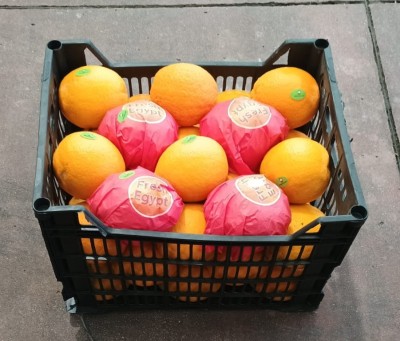 Foto Arance Varietà Valencia  Calibro 40  Origine Egitto Marchio Agricola Gloria 1