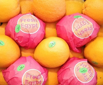 Foto Arance Varietà Valencia  Calibro 40  Origine Egitto Marchio Agricola Gloria 2