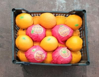 Foto Arance Varietà Valencia  Calibro 40  Origine Egitto Marchio Agricola Gloria 3