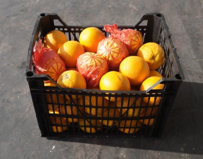 Foto Arance Varietà Valencia Calibro 48  Lavorazione In Plastica Origine Egitto Marchio Agricola Gloria 1