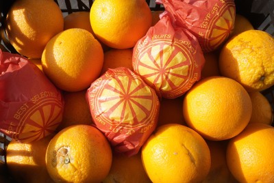 Foto Arance Varietà Valencia Calibro 48  Lavorazione In Plastica Origine Egitto Marchio Agricola Gloria 2