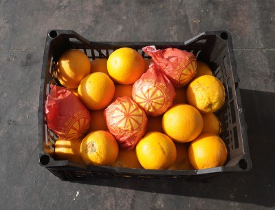Foto Arance Varietà Valencia Calibro 48  Lavorazione In Plastica Origine Egitto Marchio Agricola Gloria 3