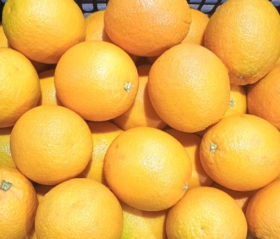 Foto Arance Varietà Valencia Calibro 56 Origine Egitto Marchio Agricola Gloria  2
