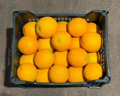 Foto Arance Varietà Valencia Calibro 64 Origine Egitto Marchio Agricola Gloria 3