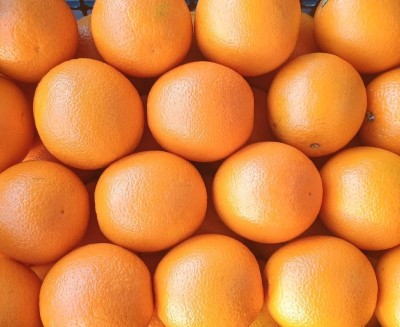 Foto Arance Varietà Valencia Calibro 72 Origine Egitto Marchio Agricola Gloria 2