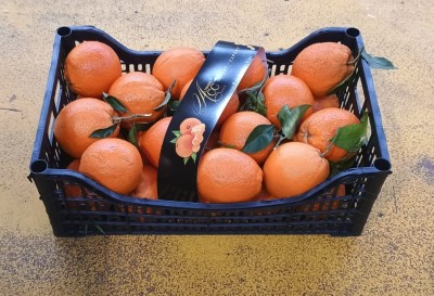 Foto Arance New Hall Calibro 72 Origine Italia Marchio Altimari  1