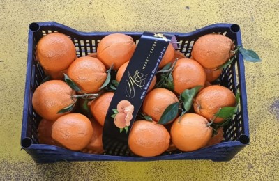 Foto Arance New Hall Calibro 72 Origine Italia Marchio Altimari  3