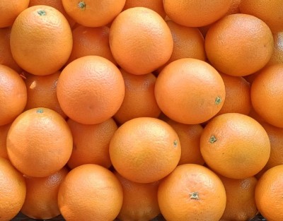 Foto Arance Valencia Calibro 88 Origine Egitto Marchio Agricola Gloria 2