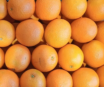 Foto Arance Varietà Valencia Calibro 80 Origine Egitto Marchio Agricola Gloria 2