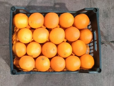 Foto Arance Varietà Valencia Calibro 80 Origine Egitto Marchio Agricola Gloria 3