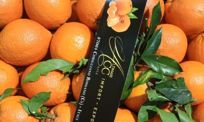 Foto Arance Affogliate Varietà New Hall Calibro 90 Origine Italia Marchio Altimari  2