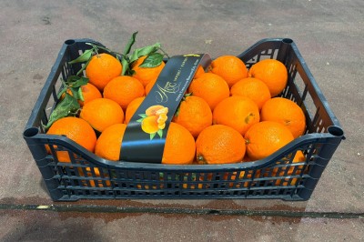 Foto Arance Lane Late Calibro 90 Origine Italia Marchio Altimari 1