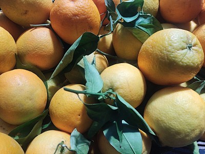 Foto Arance Valencia Origine Grecia  Marchio Ale Farm  2