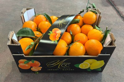 Foto Arance Lane Late Calibro 108 Origine Italia Marchio Altimari 1