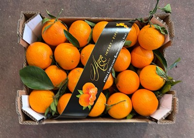 Foto Arance Lane Late Calibro 108 Origine Italia Marchio Altimari 3