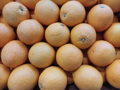 Foto Arance Varietà Midknight Calibro 50 Origine Sud Africa marchio Lona                2