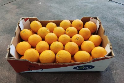 Foto Arance Varietà Midknight Calibro 55  Origine Sud Africa Marchio Lona 1