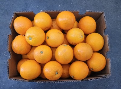Foto Arance Varietà Midknight Calibro 64 Origine Sud Africa Marchio Grown 4U 3